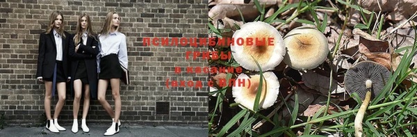 шишки Алзамай