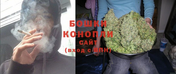 шишки Алзамай