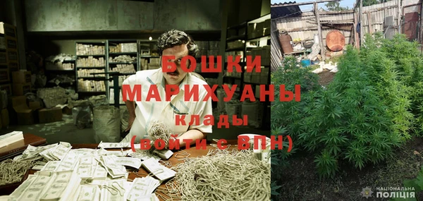 шишки Алзамай